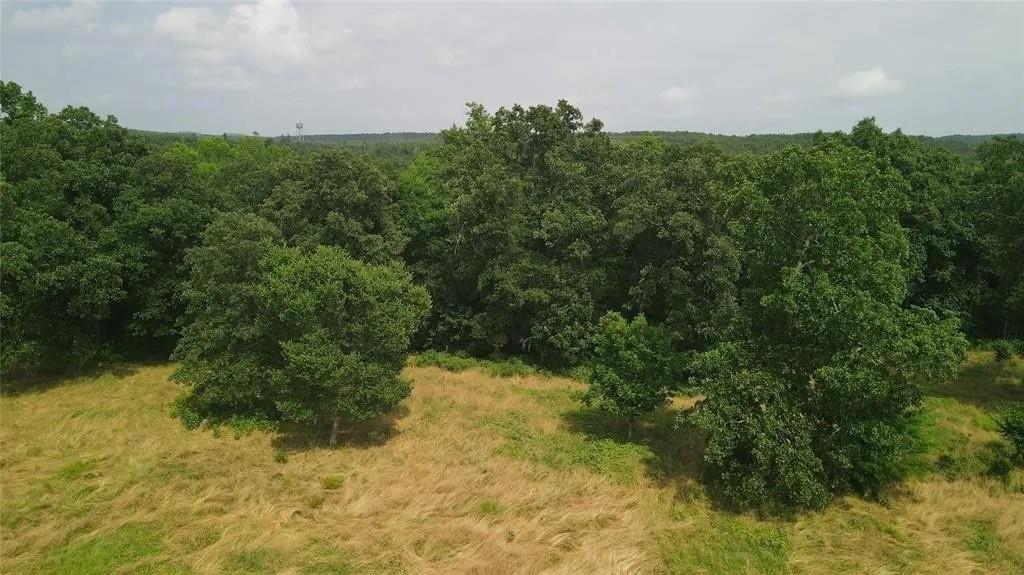 Rutty Pine Ridge Property Photo 10
