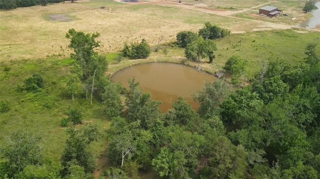 Rutty Pine Ridge Property Photo 13