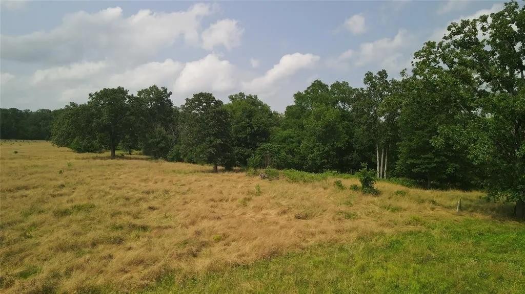 Rutty Pine Ridge Property Photo 14