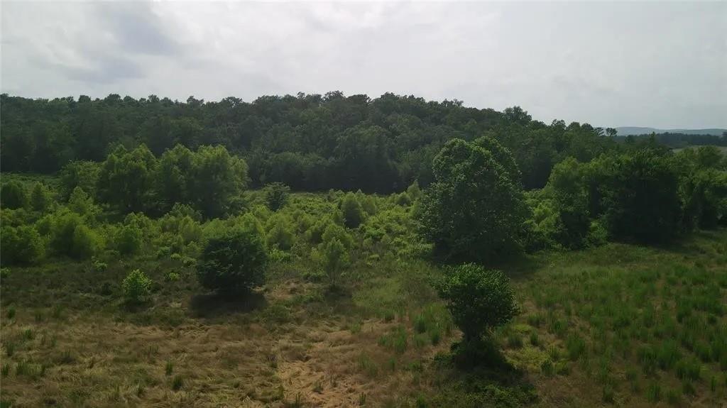 Rutty Pine Ridge Property Photo 15