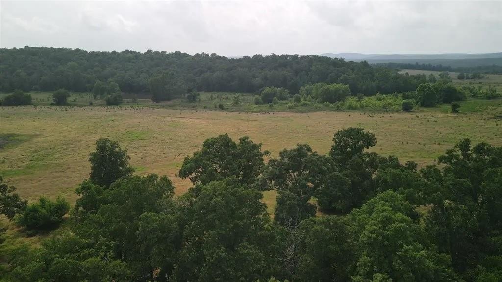 Rutty Pine Ridge Property Photo 16