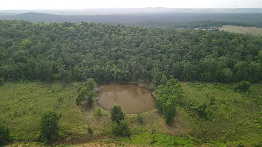Rutty Pine Ridge Property Photo 18