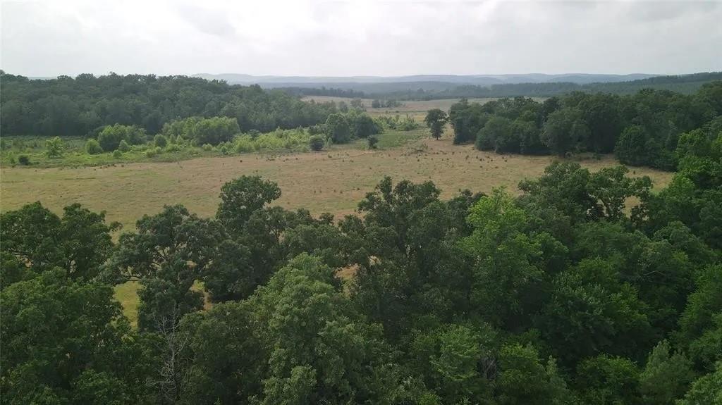 Rutty Pine Ridge Property Photo 19
