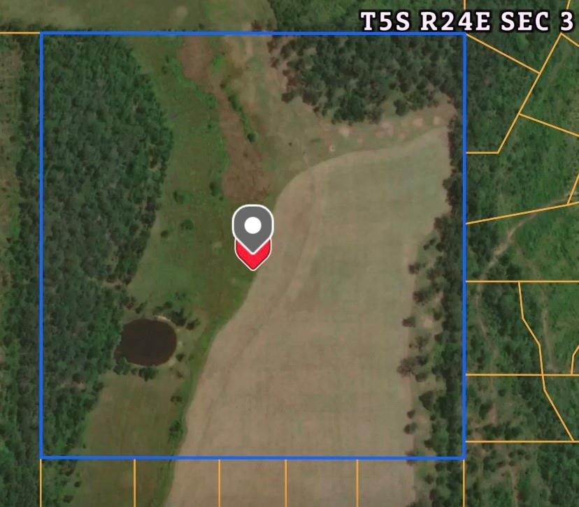 Rutty Pine Ridge Property Photo 22