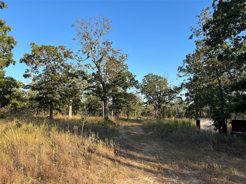 Dustin Real Estate Listings Main Image