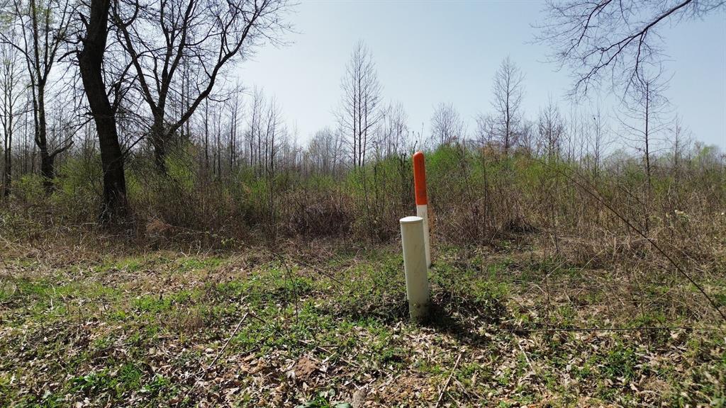 000 Fox Pen Road Property Photo 2