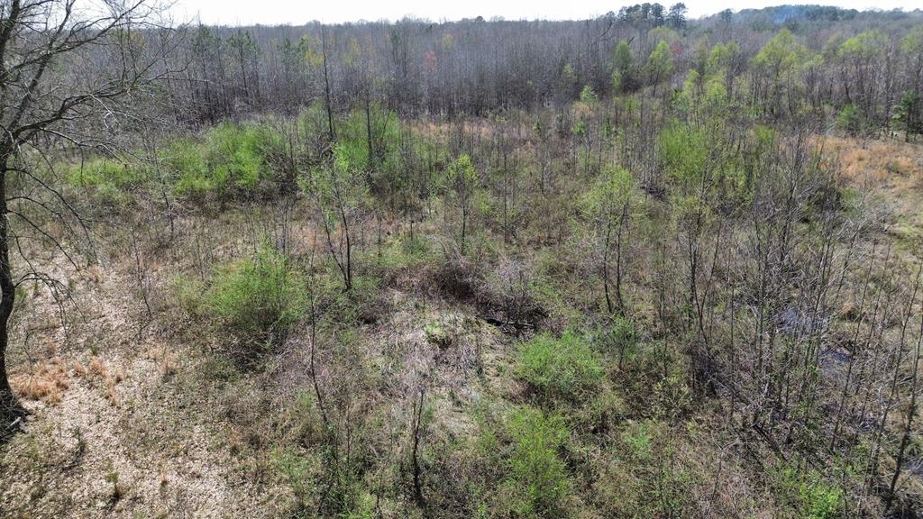 000 Fox Pen Road Property Photo 9