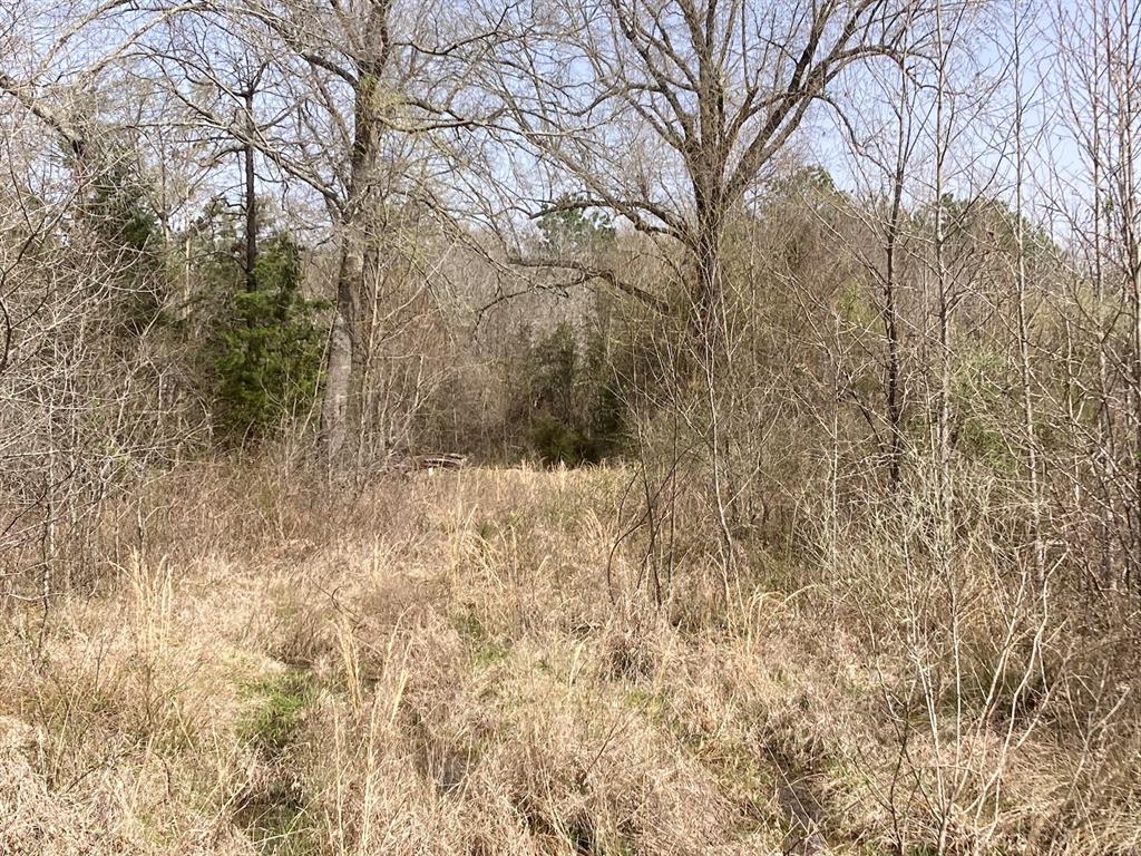 000 Fox Pen Road Property Photo 10