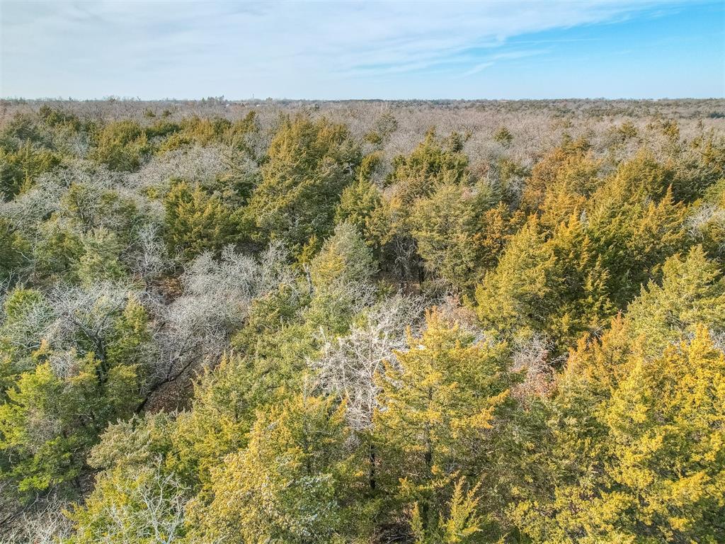 S Post Road Property Photo 28