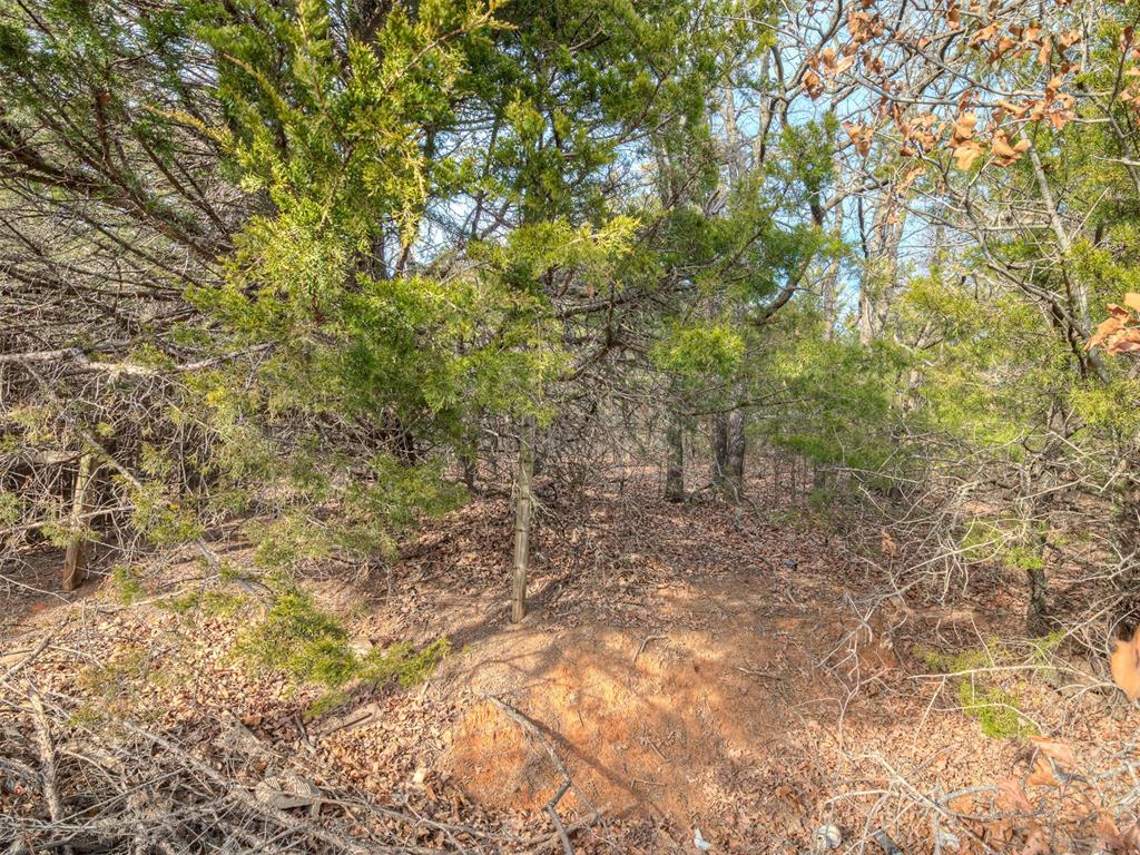 S Post Road Property Photo 39