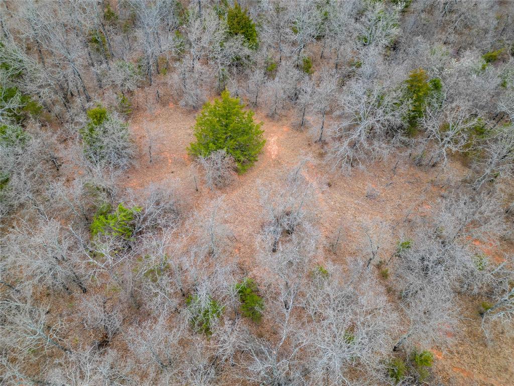 Lot 7 Vista Grande Property Photo 9