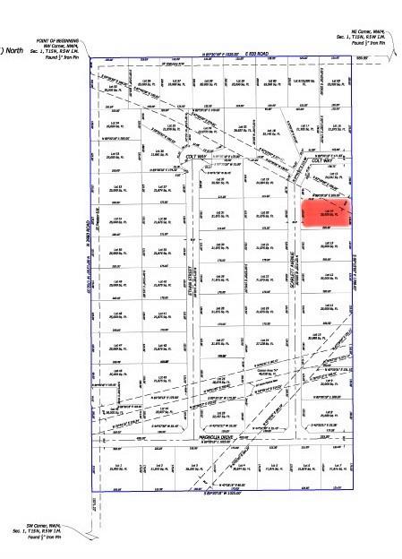 25161 Scarlett Street Property Photo 2