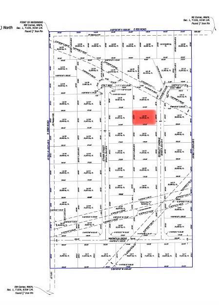 25164 Scarlett Street Property Photo 2