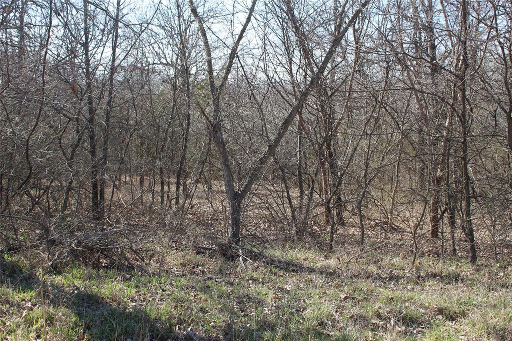 W 9th Street Property Photo 3