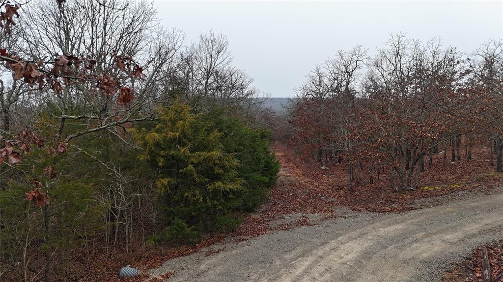 2 Berry Patch Road Property Photo 3