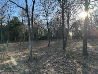 2600 Tangled Oak Trail Property Photo 3