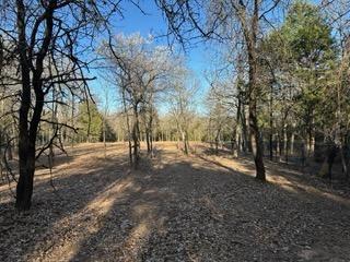 2600 Tangled Oak Trail Property Photo 4