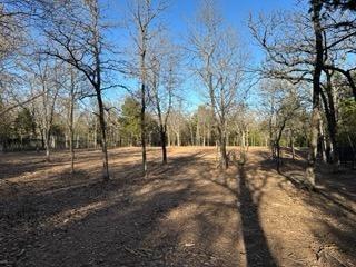 2600 Tangled Oak Trail Property Photo 5