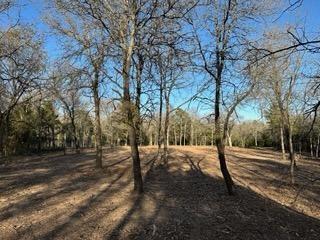 2600 Tangled Oak Trail Property Photo 6