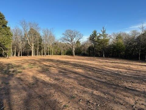 2600 Tangled Oak Trail Property Photo 7
