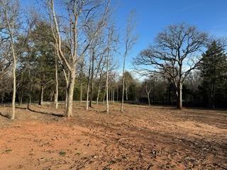 2600 Tangled Oak Trail Property Photo 8