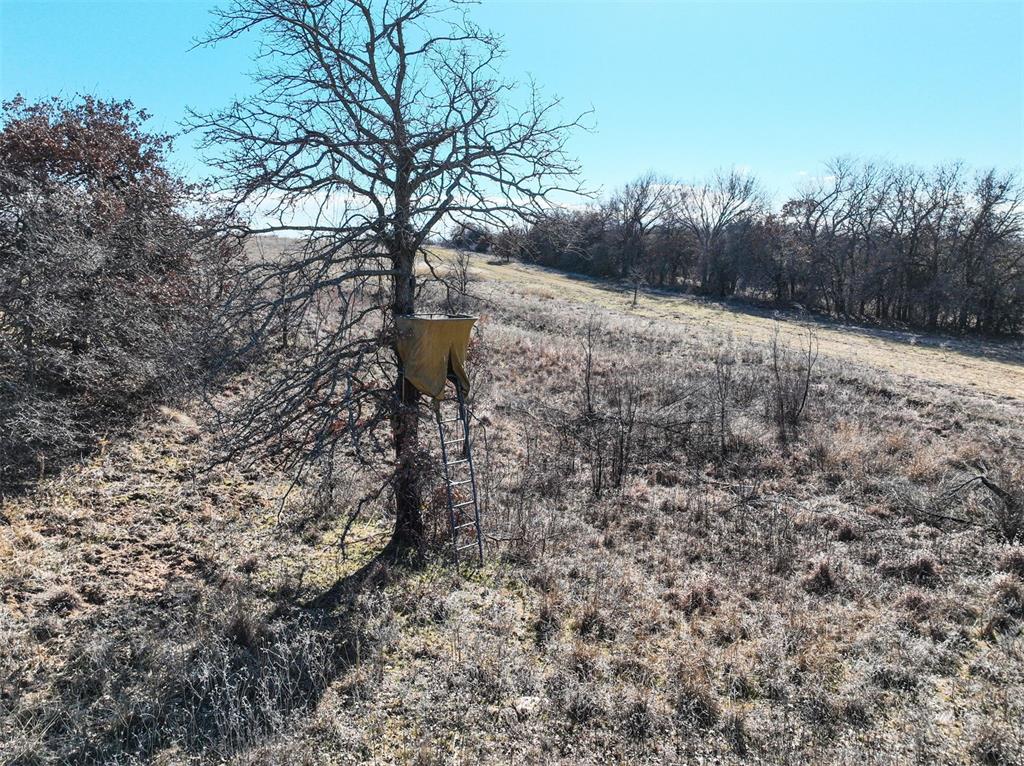 4 Cox City Road Property Photo 12