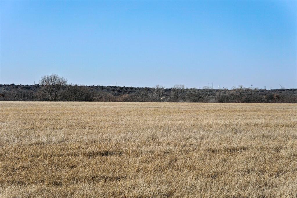 4 Cox City Road Property Photo 18
