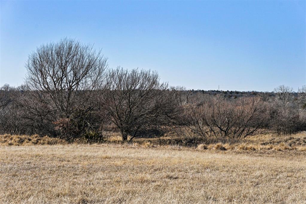 4 Cox City Road Property Photo 19