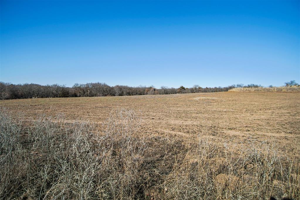 4 Cox City Road Property Photo 24