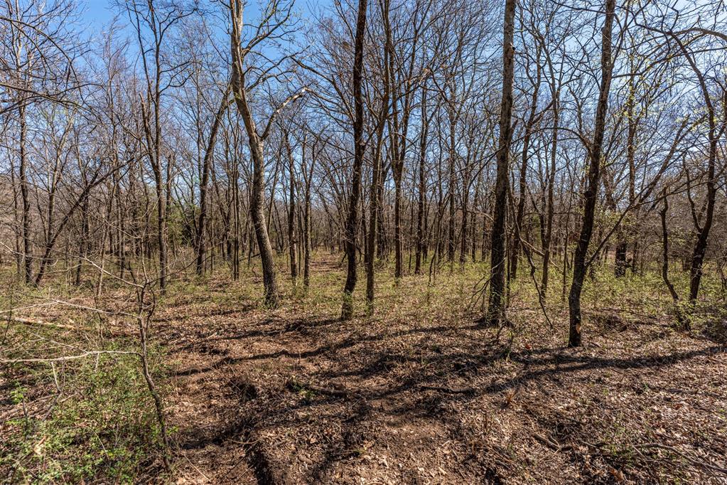 Highway 48 Highway Property Photo 9