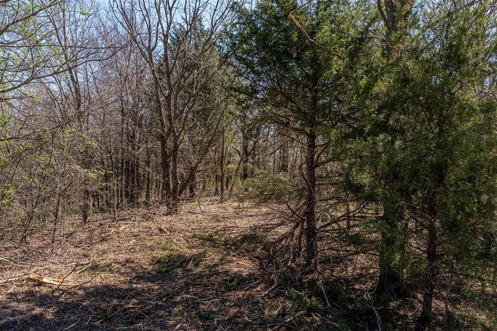 Highway 48 Highway Property Photo 13