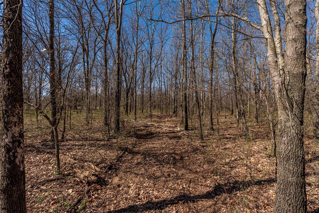 Highway 48 Highway Property Photo 20