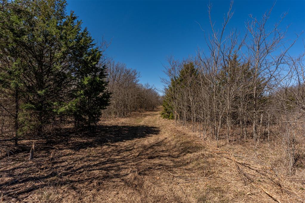 Highway 48 Highway Property Photo 21