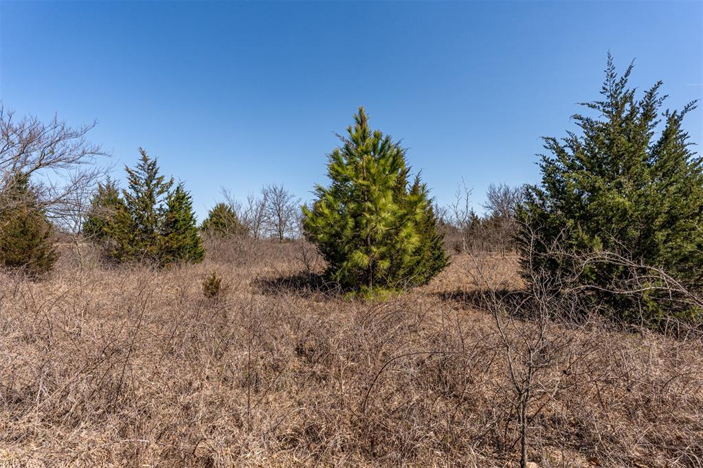 Highway 48 Highway Property Photo 26