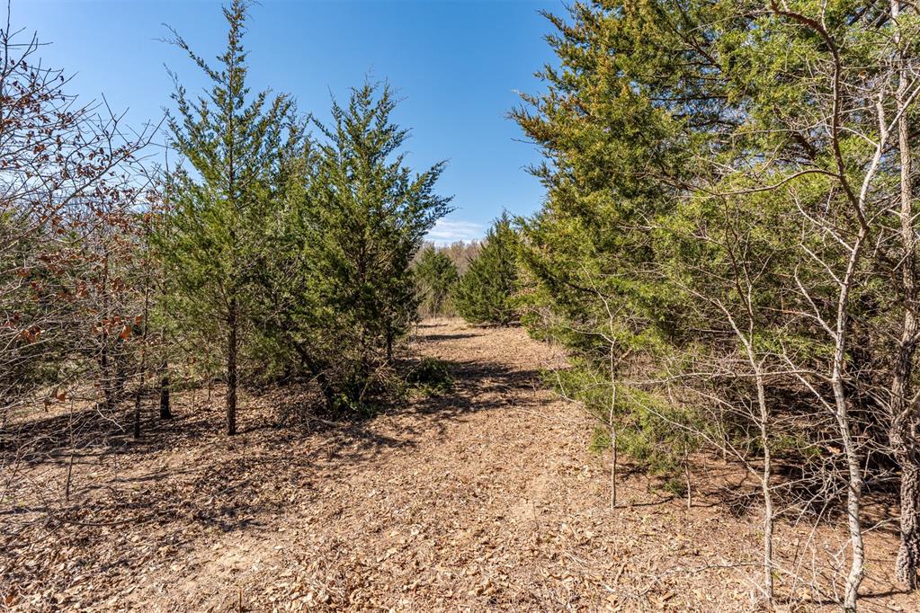Highway 48 Highway Property Photo 30