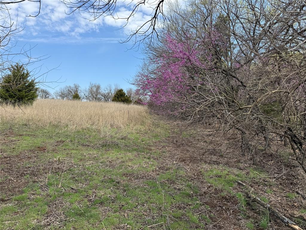 County Street 2660 Property Photo 24
