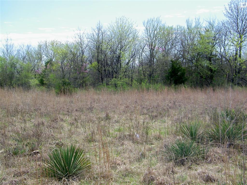 E U S Highway 70 Bypass Property Photo 11