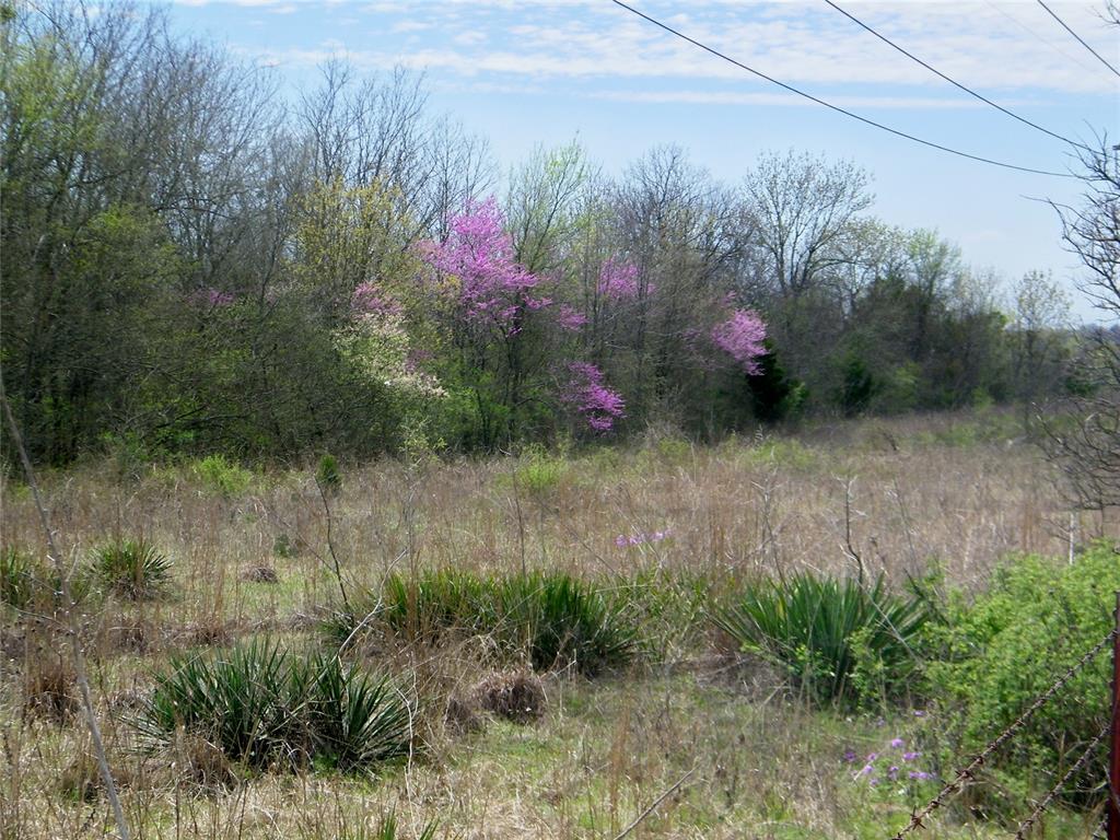 E U S Highway 70 Bypass Property Photo 13