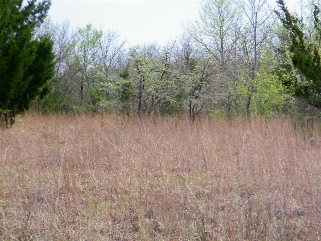 E U S Highway 70 Bypass Property Photo 14