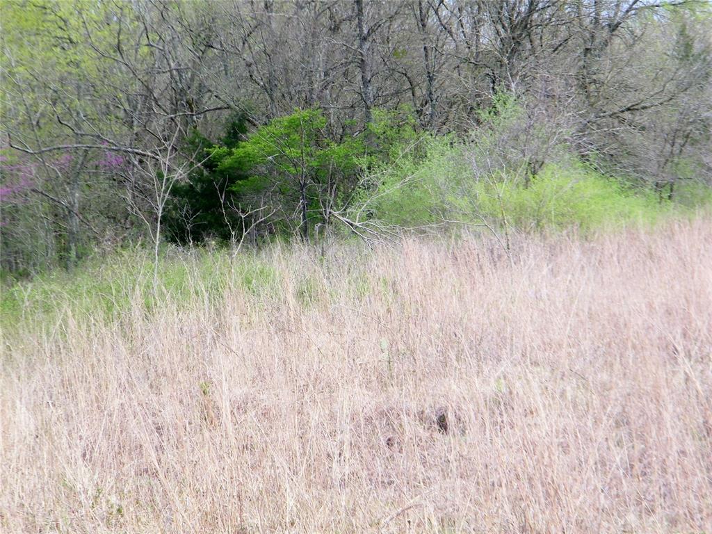 E U S Highway 70 Bypass Property Photo 15
