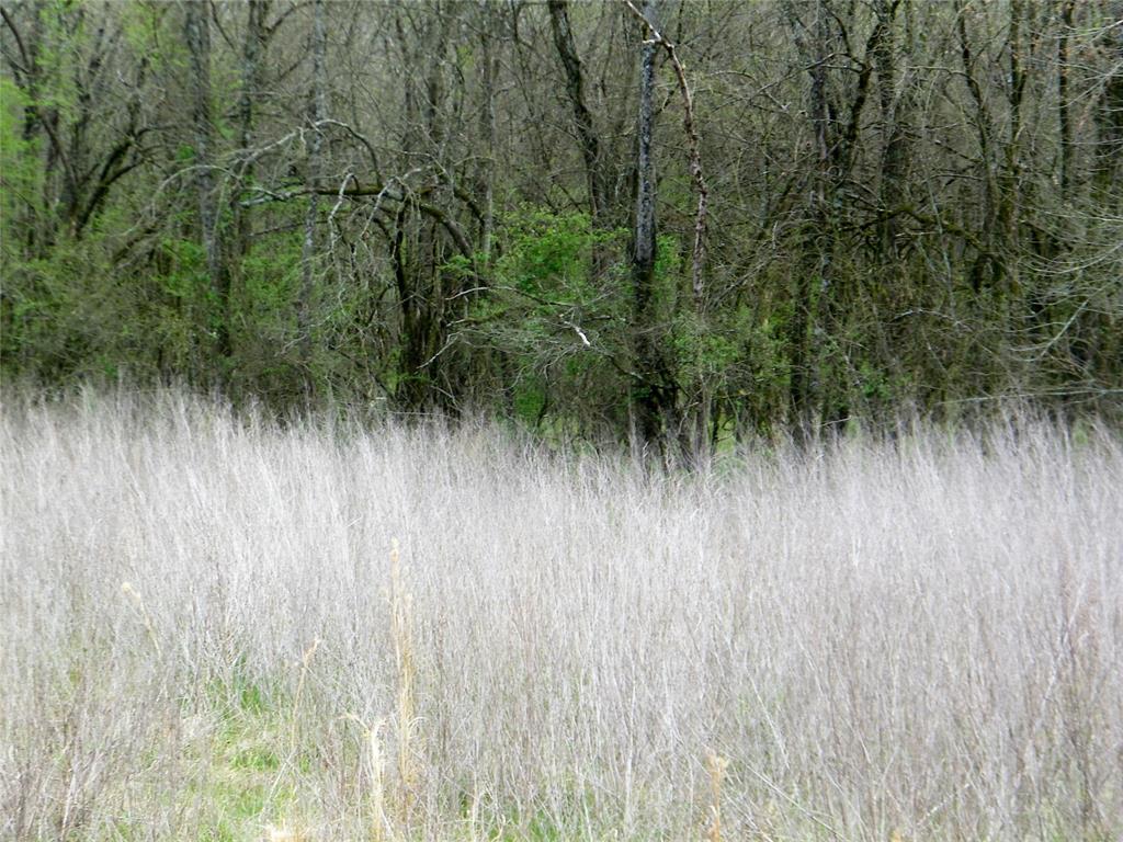 E U S Highway 70 Bypass Property Photo 19