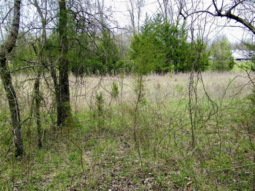 E U S Highway 70 Bypass Property Photo 24