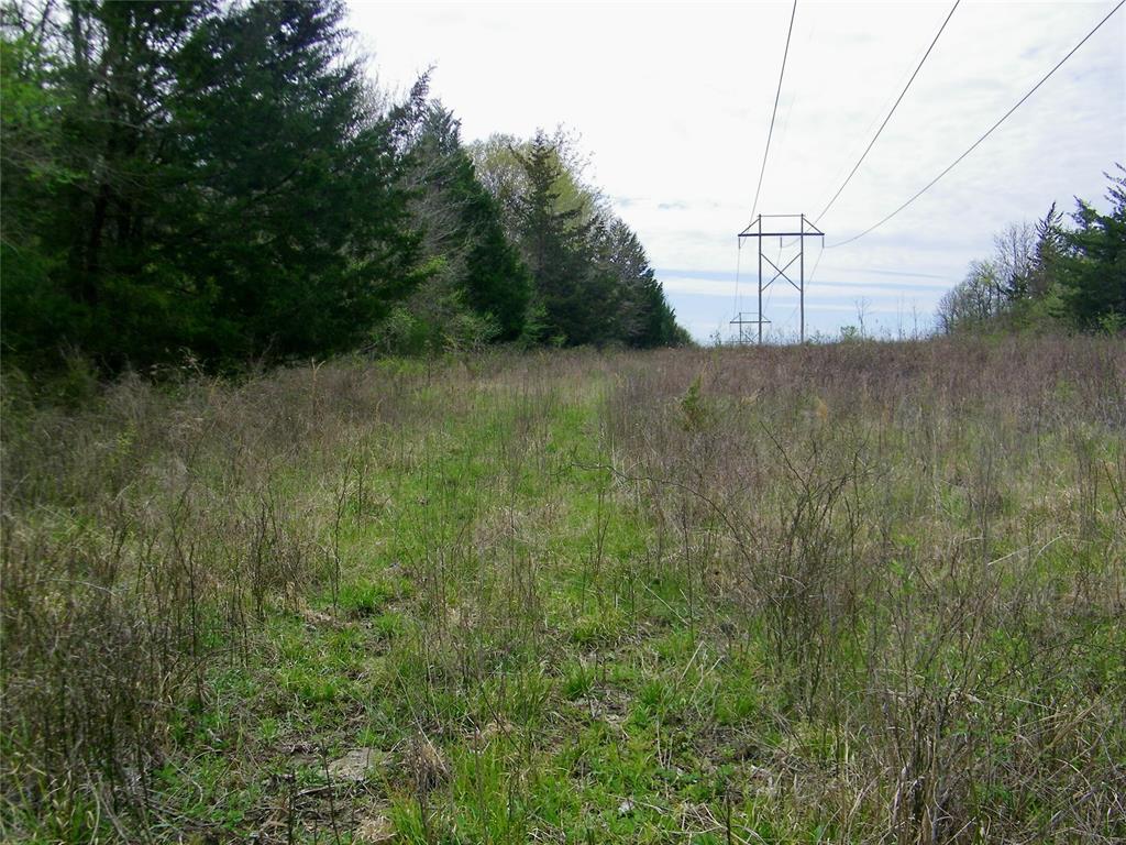 E U S Highway 70 Bypass Property Photo 25