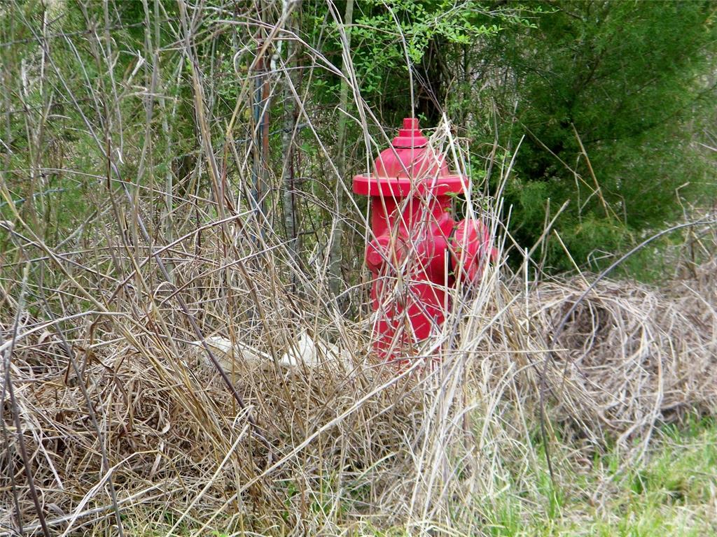 E U S Highway 70 Bypass Property Photo 30