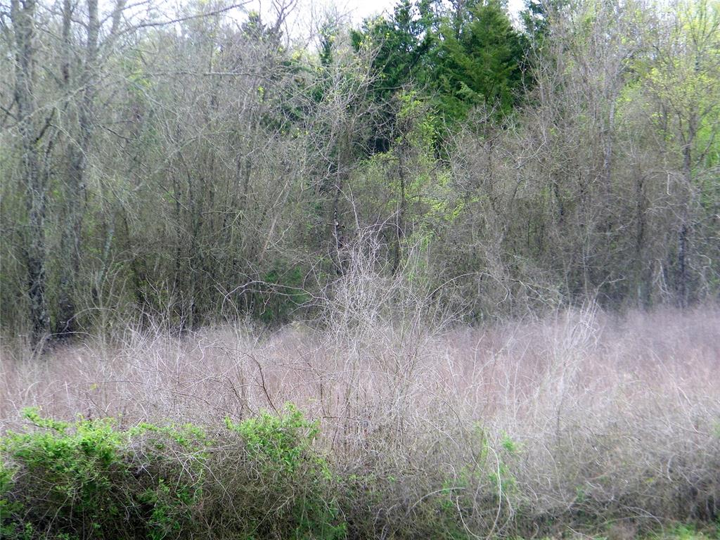 E U S Highway 70 Bypass Property Photo 32