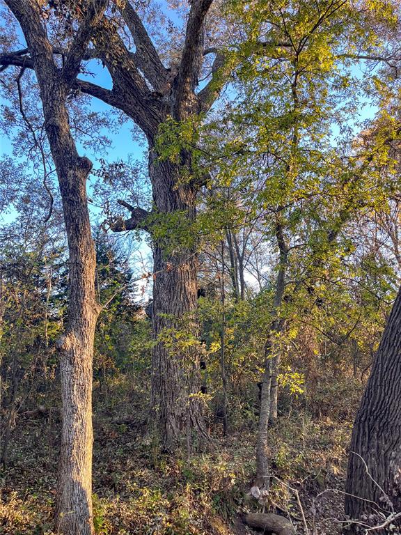Highway 48 Property Photo 25