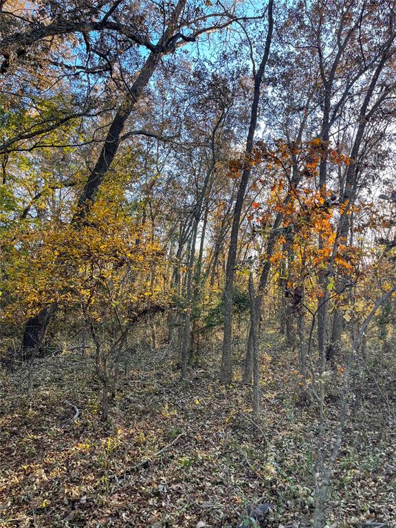 Highway 48 Property Photo 26