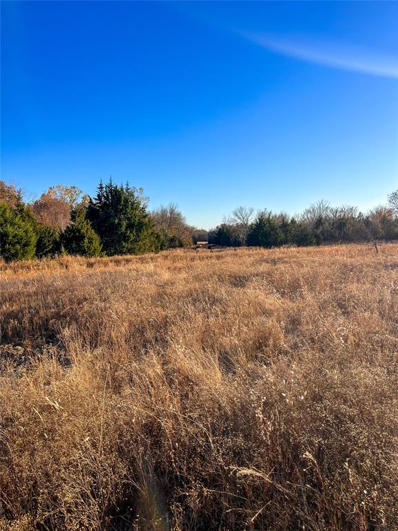 Highway 48 Property Photo 28