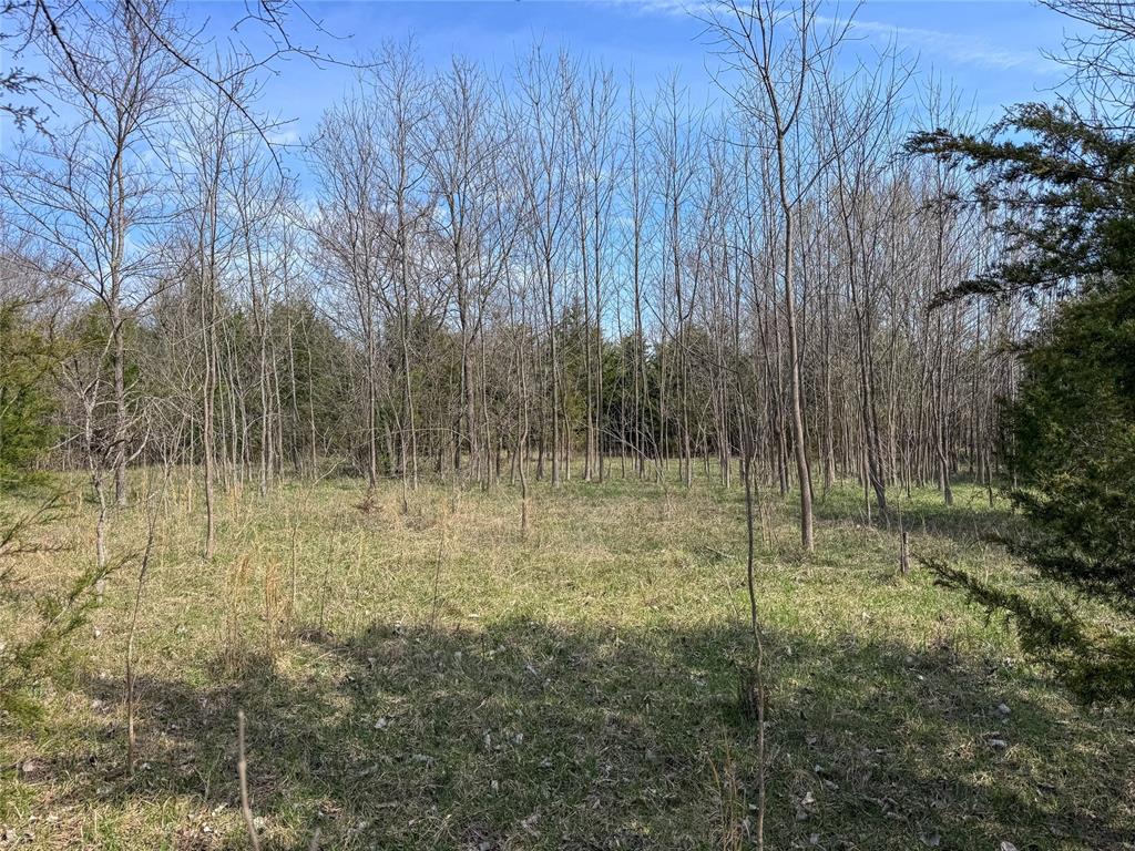 Highway 48 Property Photo 29