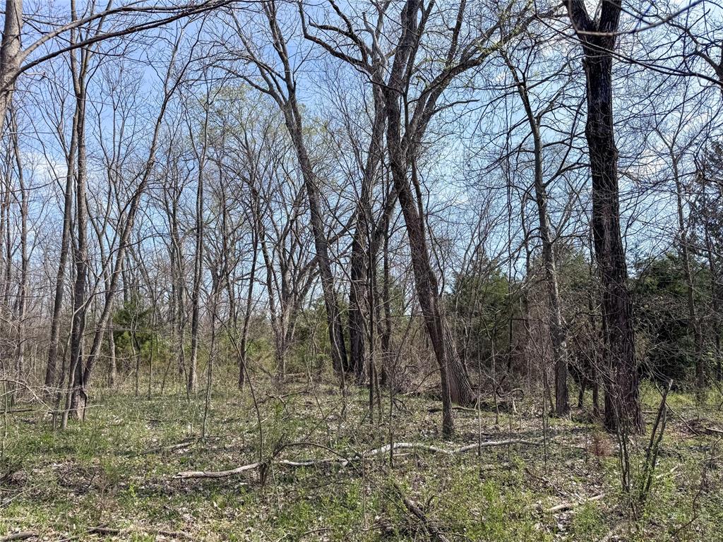 Highway 48 Property Photo 30